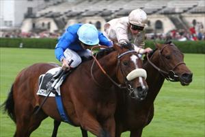 Prairie Star pleases O'Brien 